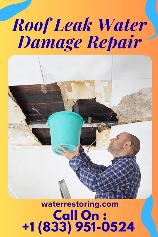 Roof Leak Water Damage Repair in Progreso Lakes, TX